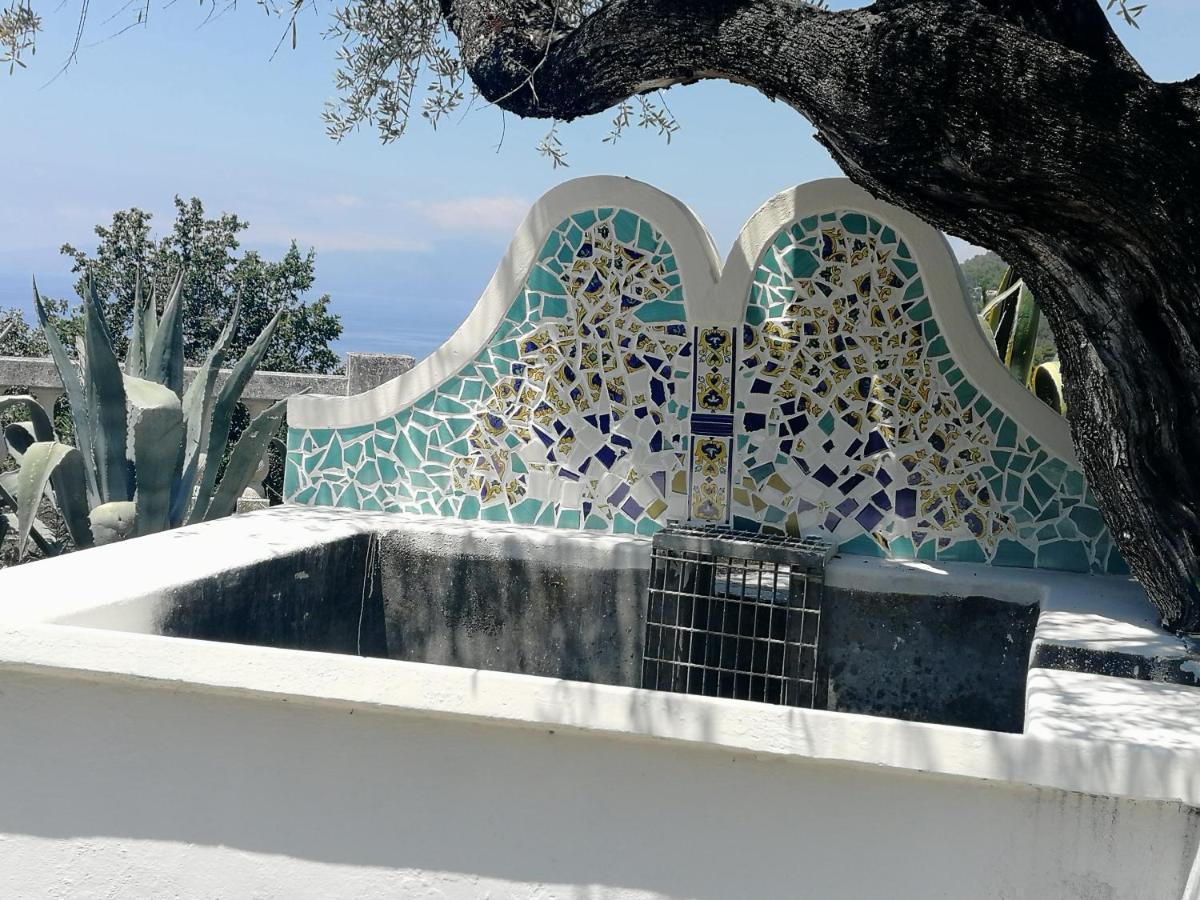 Villa Venezuela 1° Piano Maratea Eksteriør billede